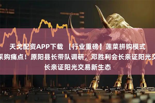 天戈配资APP下载 【行业重磅】莲菜拼购模式破局餐饮采购痛点！原阳县长带队调研，邓胜利会长亲证阳光交易新生态