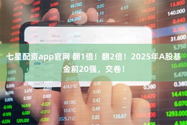 七星配资app官网 翻1倍！翻2倍！2025年A股基金前20强，交卷！